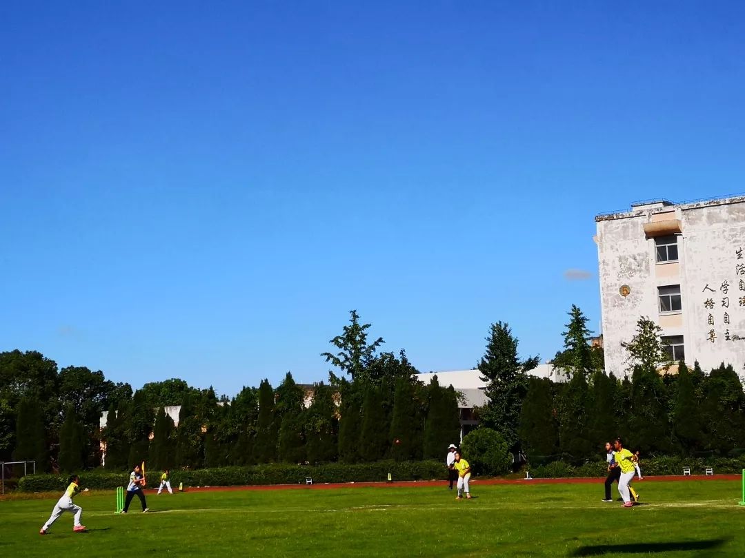 板球锦标赛掀起高潮，河套旋风队大胜钱塘麒麟队，战至最后一刻——韧性与执行并存的简单介绍